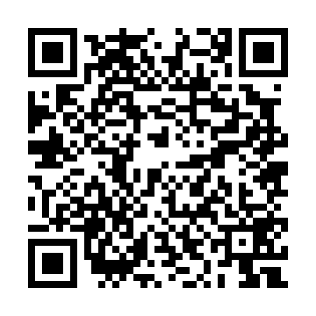 QR code for RYJ0593