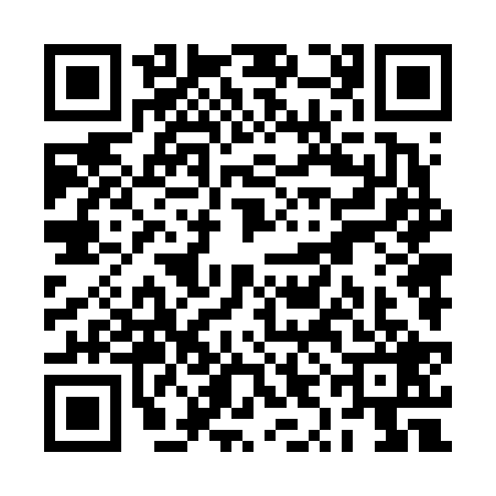 QR code for RYN6295