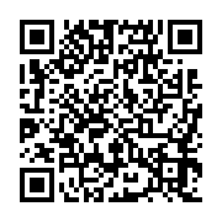 QR code for RYZ6538