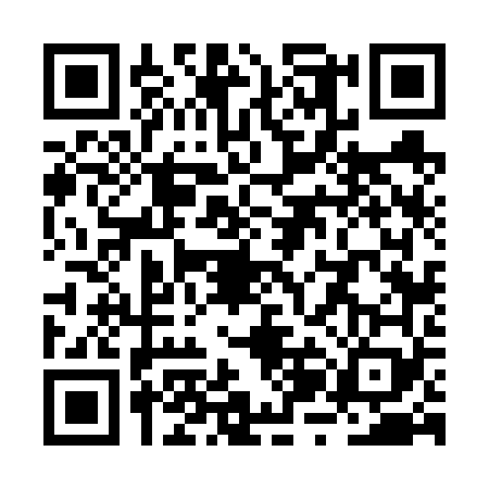 QR code for RZF6691