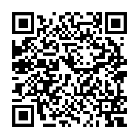 QR code for RZI2933