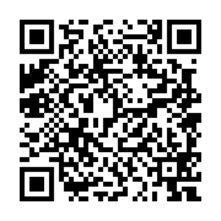 QR code for RZO0991