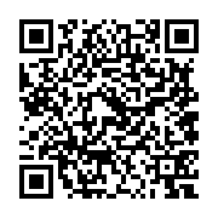 QR code for RZV8717
