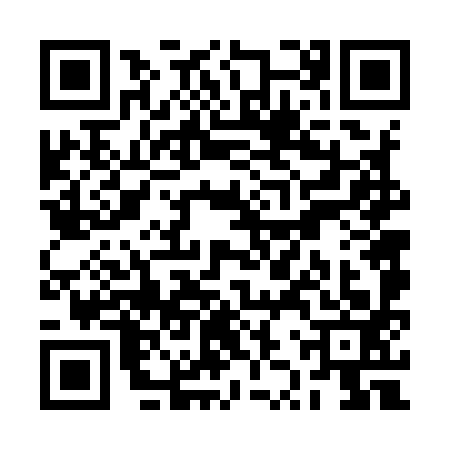 QR code for RZV9938