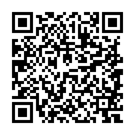 QR code for SAT9838