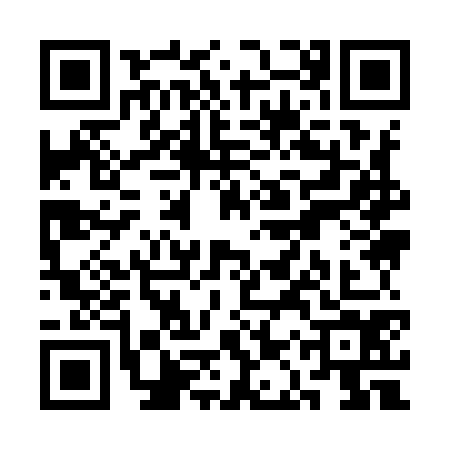 QR code for SAY9741