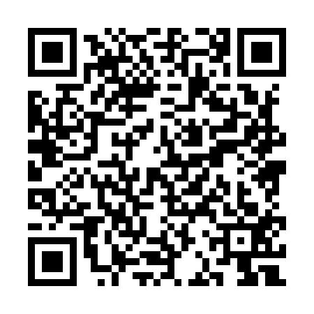 QR code for SBX9133