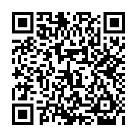QR code for SDG6958