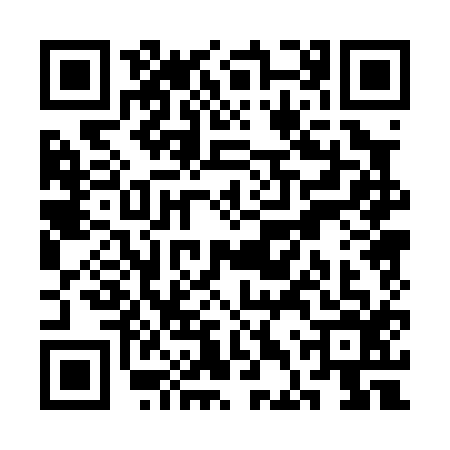 QR code for SDP0163