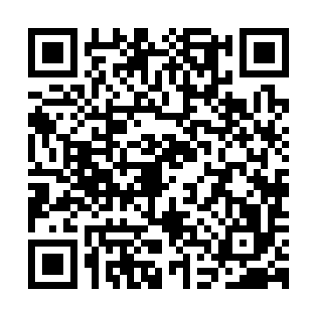 QR code for SDX3968