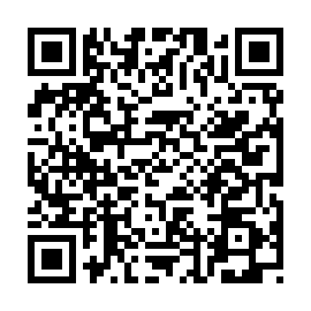 QR code for SDX9501