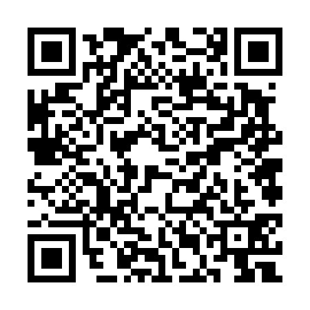 QR code for SEF4317
