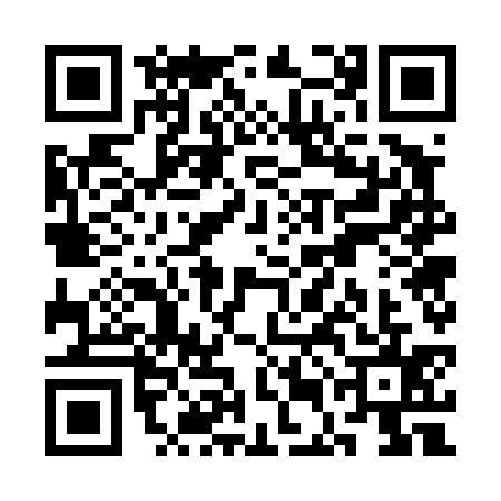 QR code for SEG4356