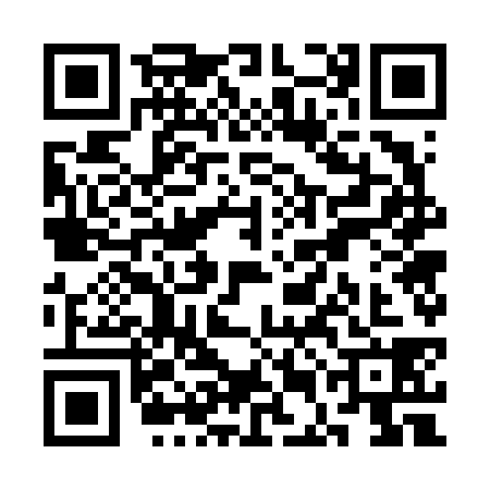 QR code for SEG6382