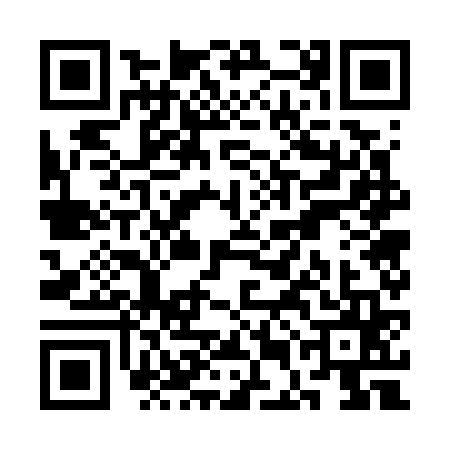 QR code for SEG7656