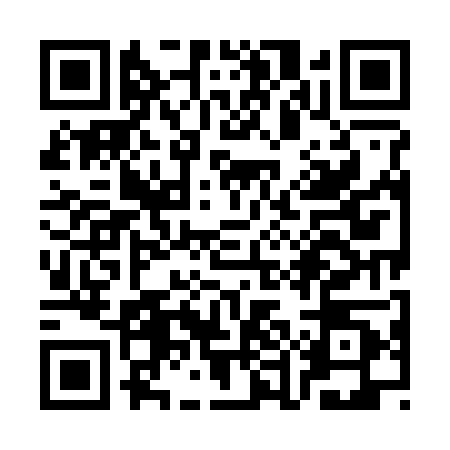 QR code for SEM2007