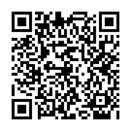 QR code for SES2207