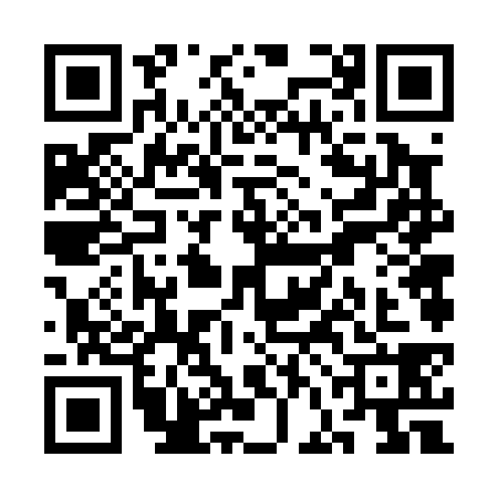 QR code for SFF0387