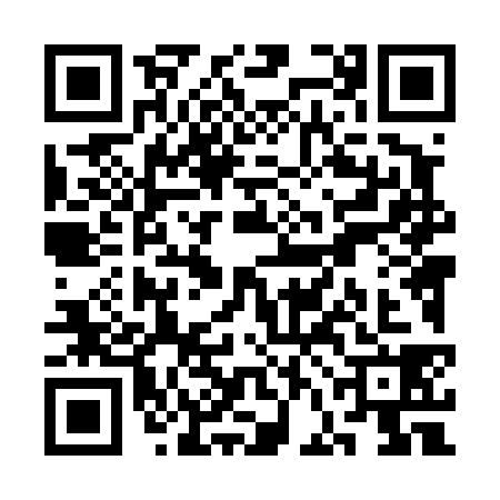 QR code for SFL4384