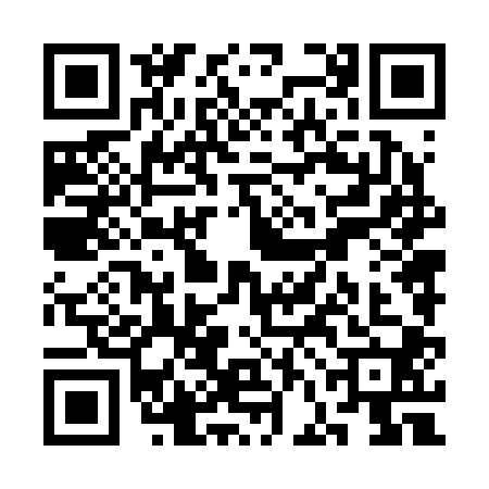 QR code for SFN2005