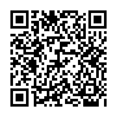 QR code for SGI3539