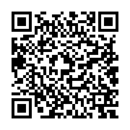 QR code for SGV9238