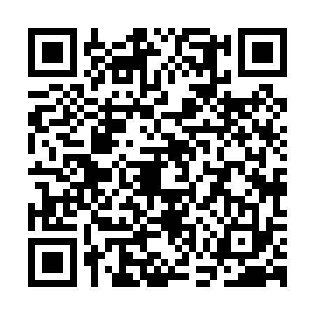 QR code for SGX0339