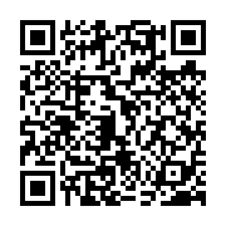 QR code for SGY6199