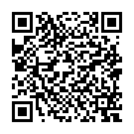 QR code for SII3961