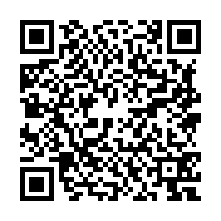 QR code for SII8721