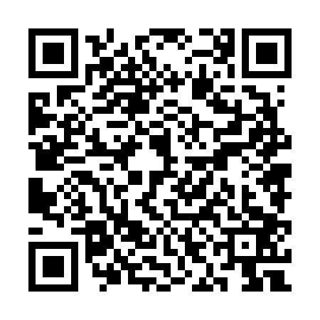 QR code for SIN6038