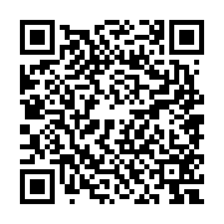 QR code for SIN6565