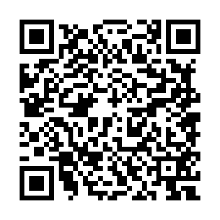 QR code for SIN8523