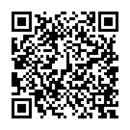 QR code for SIN9496