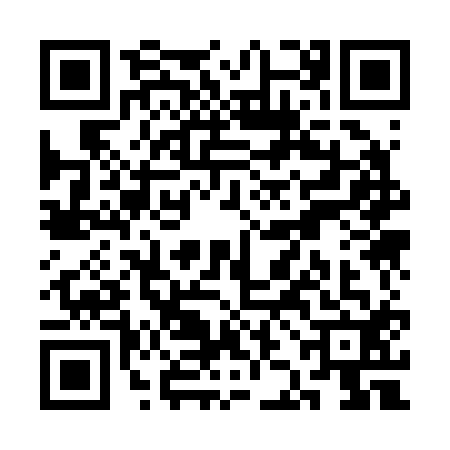 QR code for SJK2128