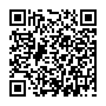 QR code for SJV8341