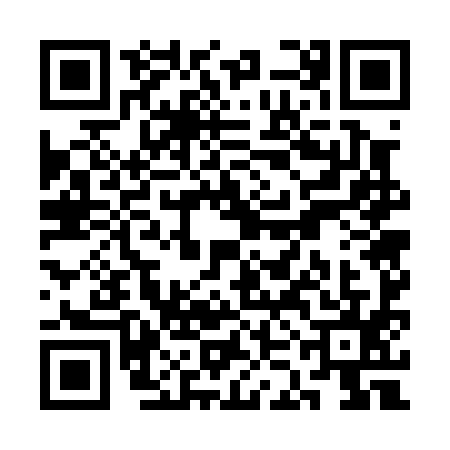 QR code for SKG0955