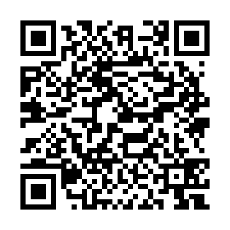 QR code for SKI2399
