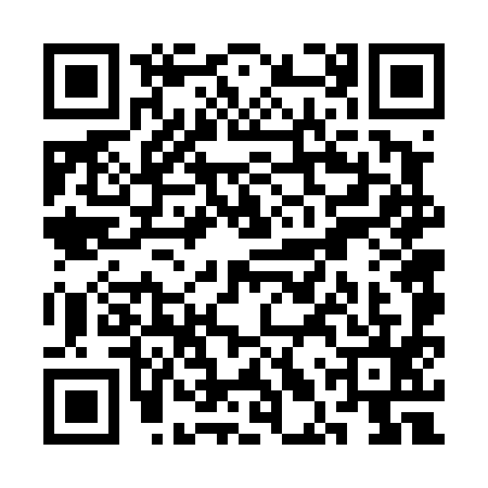 QR code for SLV4951