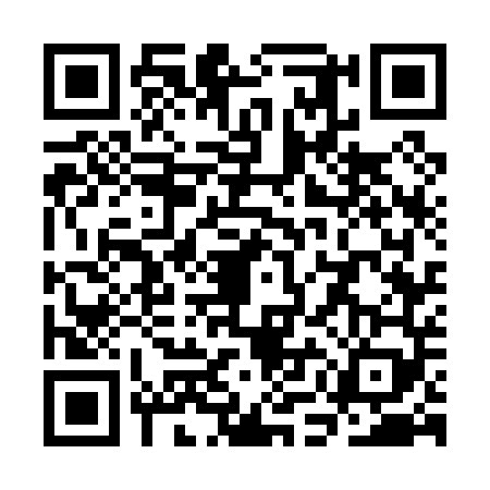 QR code for SMG0493
