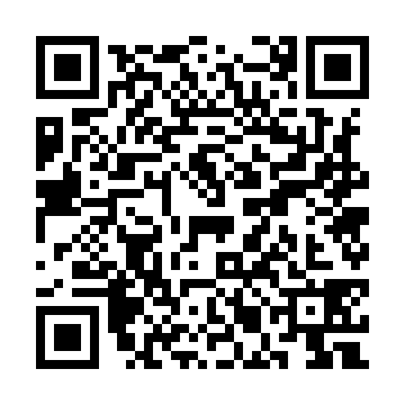 QR code for SMG9385