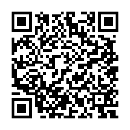 QR code for SMZ4538