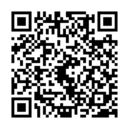 QR code for SNG2985