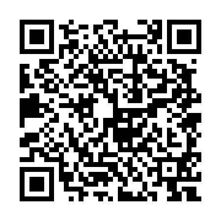 QR code for SNO4909