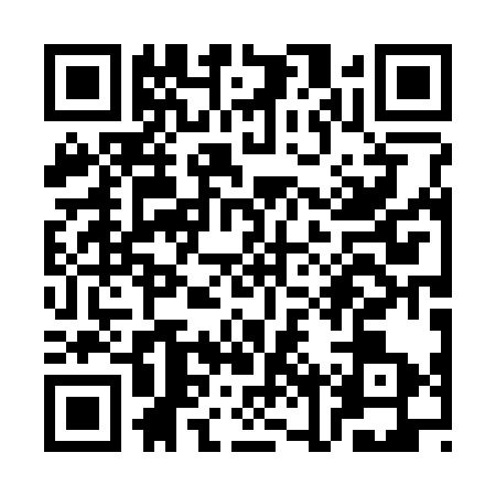 QR code for SNP3334