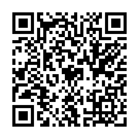 QR code for SOM2077