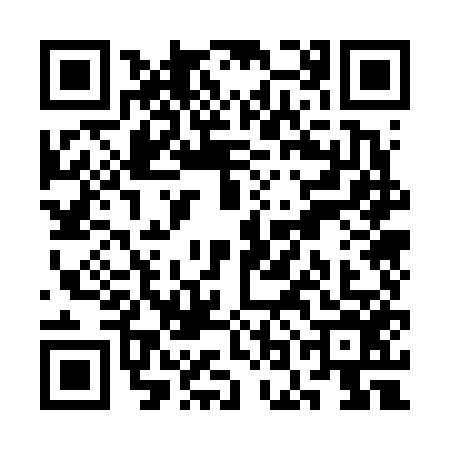 QR code for SOO6565