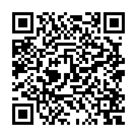 QR code for SPI0462