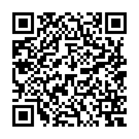 QR code for SPP9653
