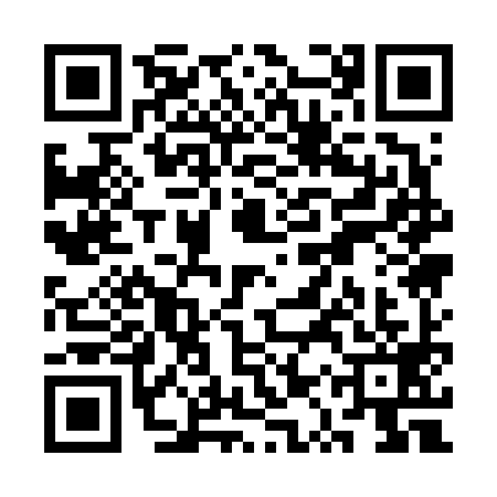 QR code for SQQ6994